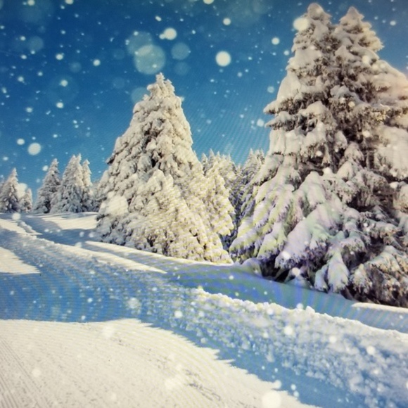 Snowflake Flurries - Homemade - Handmade Soap - Picture 2 of 6